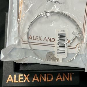 Alex & Ani Silver Cross